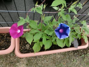 20140711155057.jpg