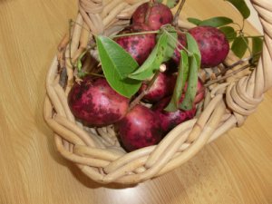 20141201114705.jpg