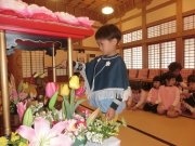 20180408170853.JPG