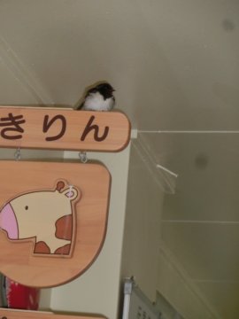 20180414193555.JPG