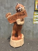 20180523193118.JPG