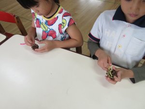 20191030173540.JPG